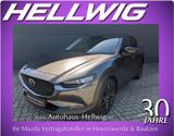 Mazda CX-30 2.0l Skyactiv-X Homura AWD Navi Kamera Hea - Mazda CX-30: Homura