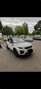 Andere Range Rover Evoque 2,0 HSE Dynamic Pano Vo... - Andere in Köln