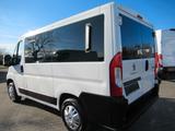 Peugeot Boxer Kombi Kasten L1H1+9 SITZER+FENSTER+MULTI+ - Peugeot Boxer aus 2019