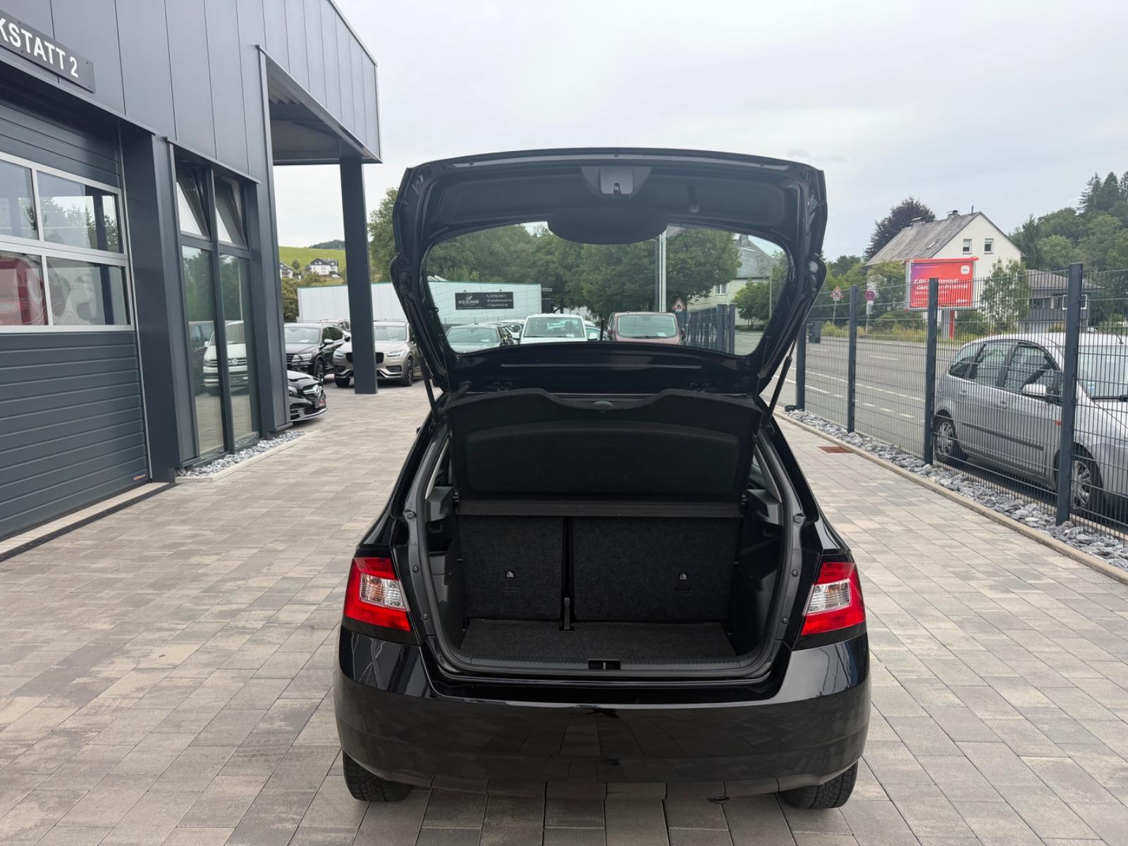 Skoda Fabia Ambition*8-FACH*KLIMA*E.FNST*BT*TOP