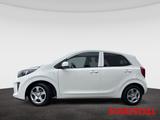 Kia Picanto 1.0 Vision Autom. Klimaautom. Navi Kamer - gebrauchte Kia Picanto aus dem Jahr 2024