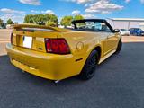 Ford Mustang 3,8L Motor (Automatik) - Ford Mustang: Motor