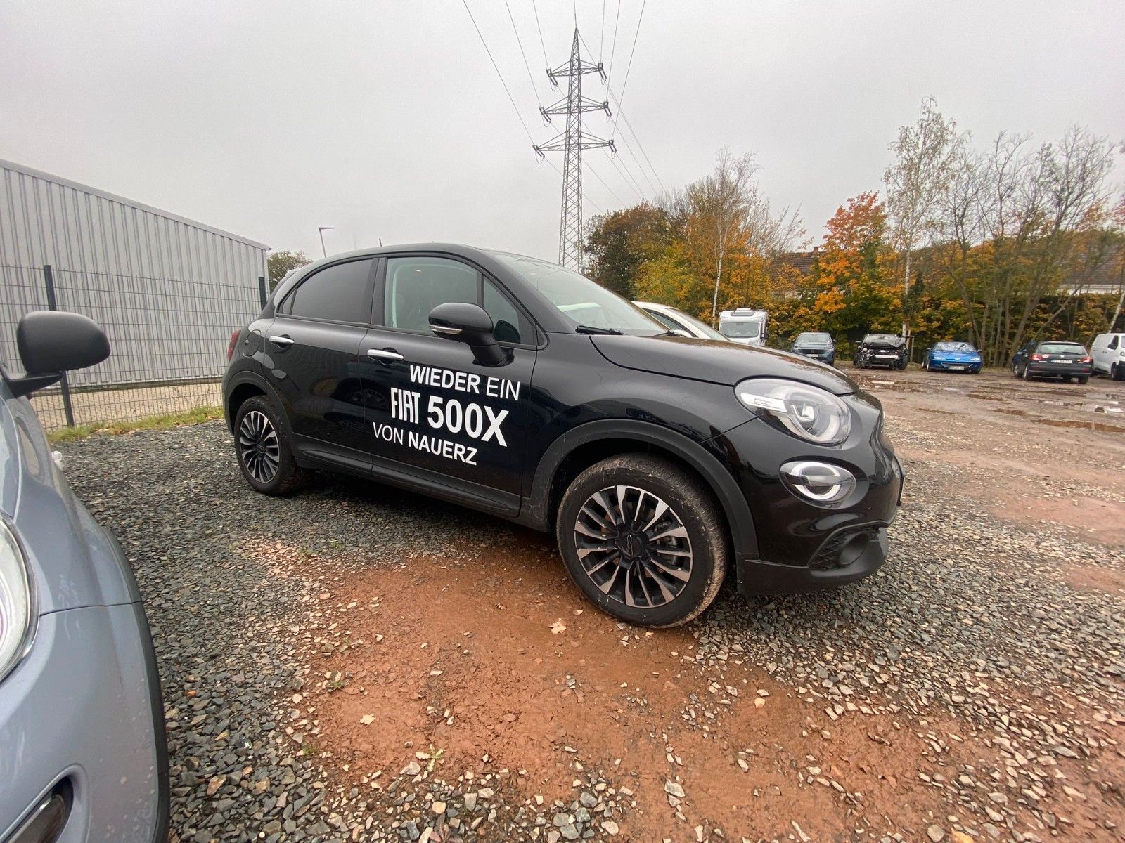 Fahrzeugabbildung Fiat 500X Basis