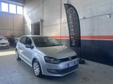 Volkswagen Polo 1.6 TDI DPF 3 porte Comfortline  - Volkswagen Polo aus 2010: 1.6