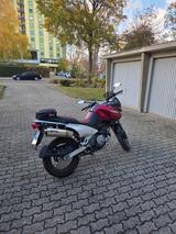 Suzuki XF 650 Freiwind  - SUZUKI XF 650