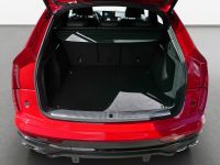 Audi SQ5 - Vorschau Bild 11