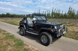 Jeep Wrangler 4.0 YJ  1991 Oldtimer - Jeep aus 1991