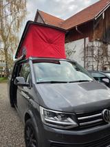 Volkswagen T6 California - Volkswagen T6 California Benziner Gebrauchtwagen