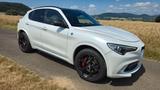 Alfa Romeo Stelvio 2.9 V6 Bi-T. 375kW Quadrifoglio AT8-... - Alfa Romeo: Quadrifoglio