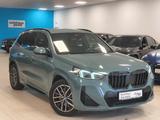 BMW X1 xDrive 25 e M Sport/KeyLess/Drive&ParkFernLAS - BMW X1: Drive