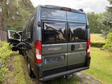 Globecar Campscout - Globecar Kastenwagen