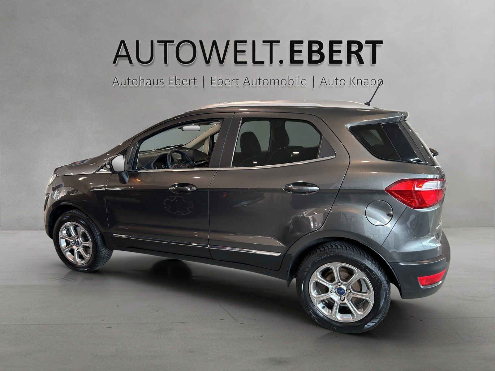 Fahrzeugabbildung Ford EcoSport 1.0 EcoBoost Titanium