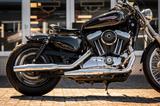 Harley-Davidson XL1200C Sportster 1200 Custom - HARLEY-DAVIDSON 2008 SPORTSTER 1200