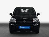 Fiat Panda 1.0 GSE Hybrid 51 kW, 5-türig - Fiat Panda: 5.5