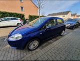 Fiat Punto mit frischem TÜV  8fache Bereif... - Fiat Punto in Köln