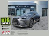 Lexus NX 450h+ Luxury Line HUD*Navi*4xSHZ*KAM*360 - graue Lexus NX-Serie