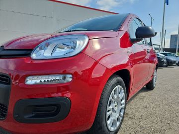 Bild 7 Fiat Panda DAB Spurhalteass. Verkehrszeichenerk. Notb