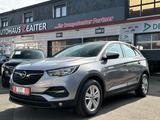 Opel Grandland (X) *TÜV*INS* - Opel Grandland (X): Grau