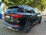 BMW X5xDrive 30d xLine*Leder/Terra*Pano*Kam*21"-Alu* - BMW X5: 3l