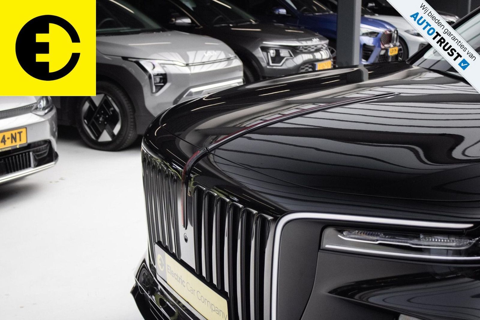 Hongqi E-HS9 Exclusive | 112KWH | SOH 97,7% | Panorama imagem 2