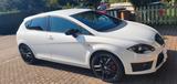 Seat Leon 2.0 T FSI Cupra R Cupra R - Seat Leon aus 2010: R