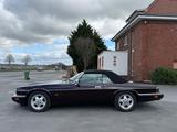 Jaguar XJS Autom/Leder/Klima/DeutschesModell - Jaguar mit Benzin-Antrieb: Cabrio