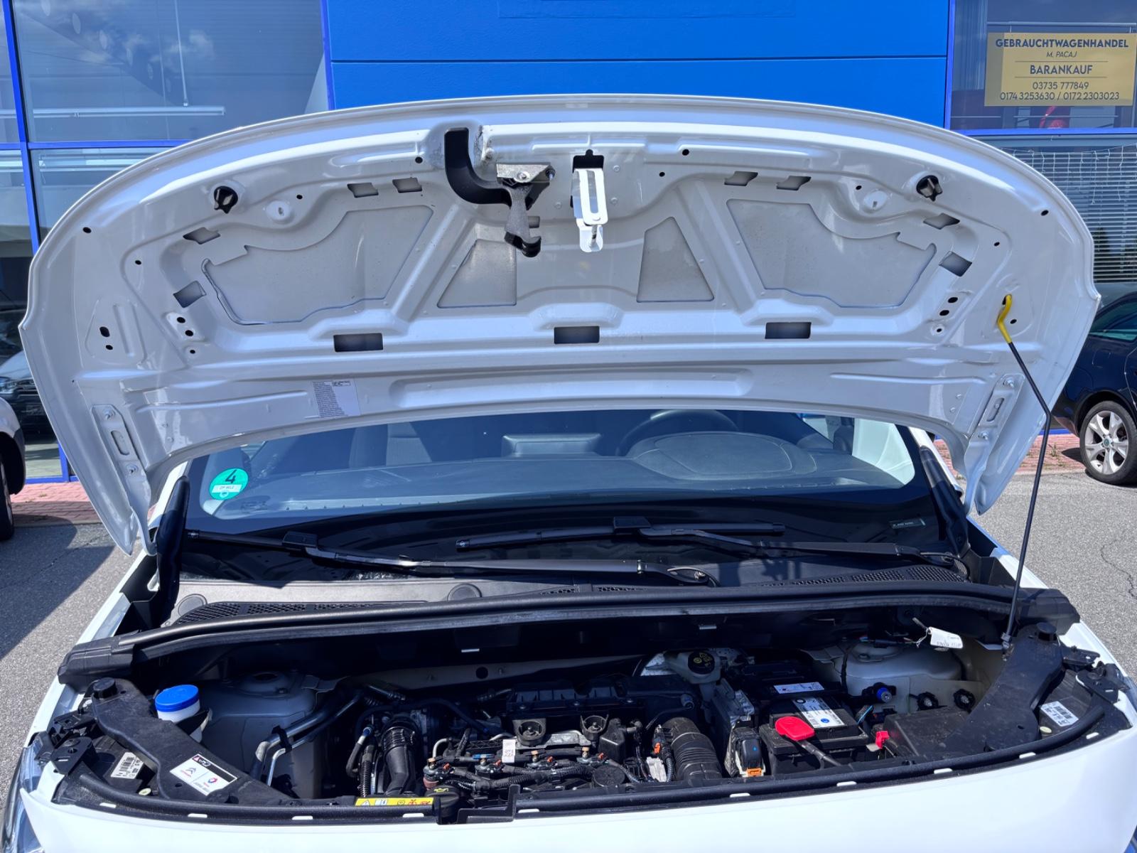 Citroën Berlingo Kasten Control XL/L2 Doppelkabine Vario