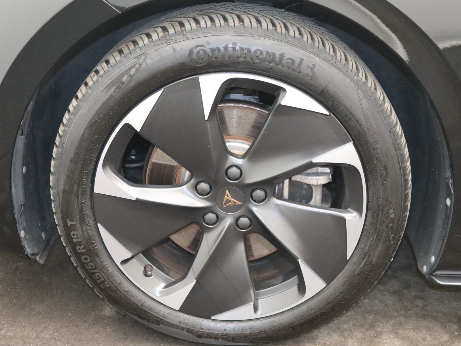 Cupra Born - Bild 17