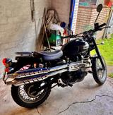 Triumph Scrambler 900 efi (Inzahlungnahme möglich!).) - Triumph Motorräder in Bremen