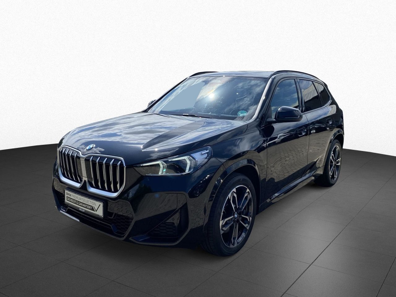 BMW X1 sDrive20i M Sport Navi DA RFK HK Pano AHK,19 foto 3