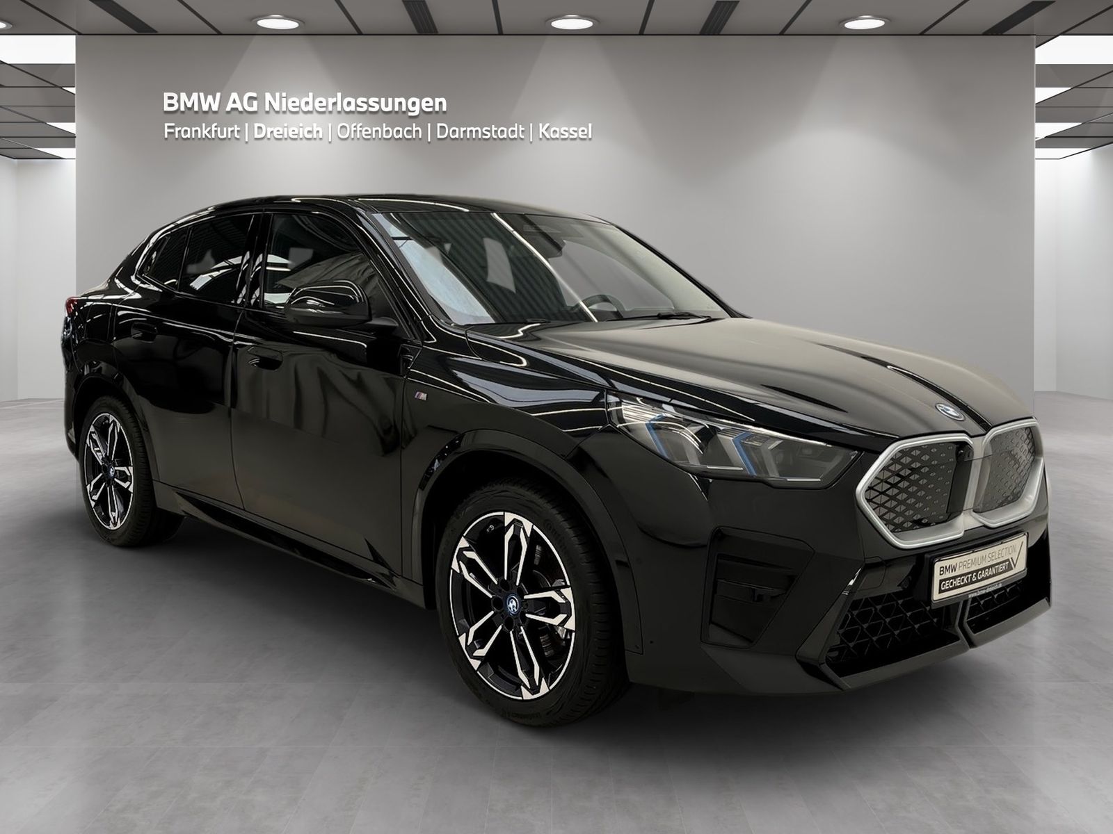 BMW iX2 xDrive30 M Sport AHK Driv.Assist.Prof LED foto 3