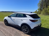 Opel Grandland (X) 1.5 Diesel 96kW Business Innov... - Opel Grandland (X) von privat