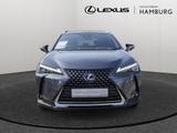 Lexus UX 250h Luxury Line FWD HGSD HUD MATRIX-LED - scheckheftgepflegte Lexus Gebrauchtwagen