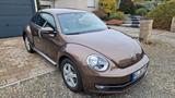 Volkswagen Beetle 1,2 TSI Design, Scheckheft-gepflegt - Volkswagen New Beetle mit Benzin-Antrieb: Limousine