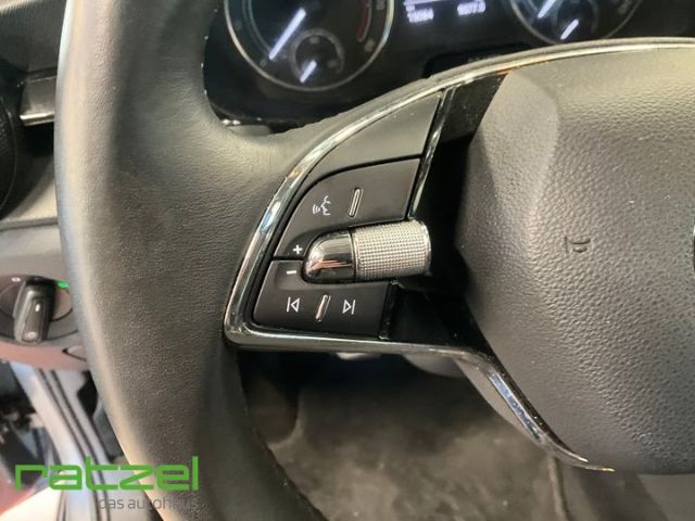 Fahrzeugabbildung SKODA Fabia Active 1.0 LED Sperrdiff. DAB Spurhalteass