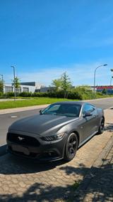 Ford Mustang 2.3 EcoBoost Auto - - Ford Mustang in Saarbrücken