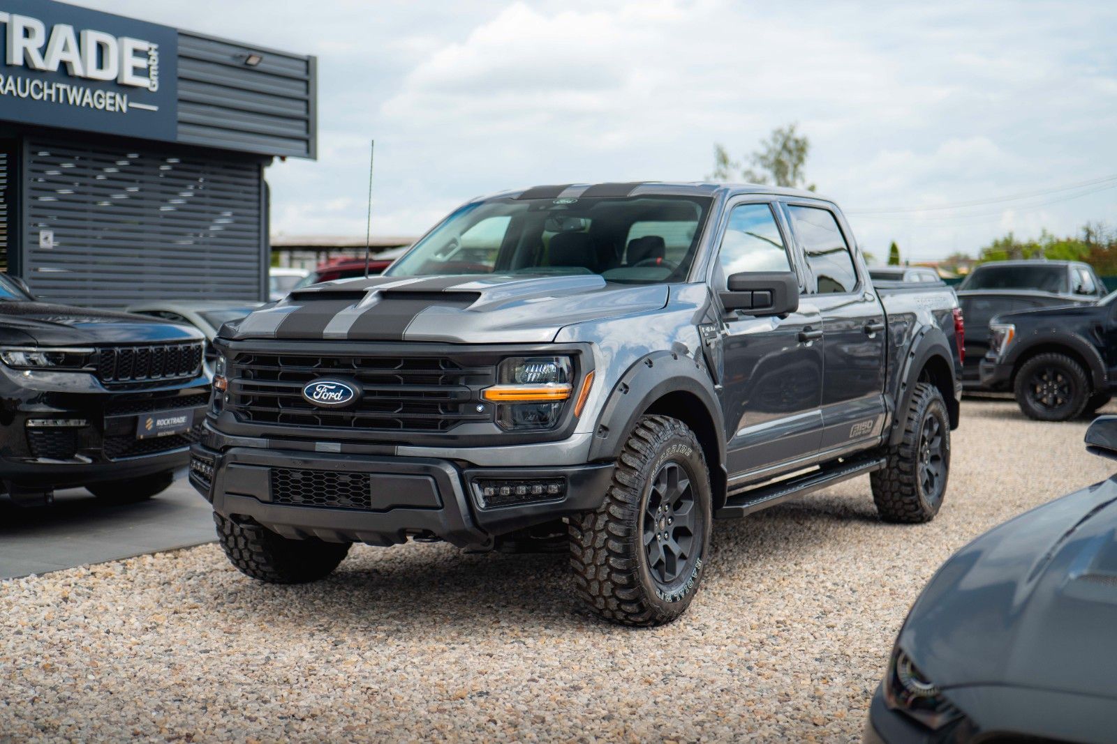 Fahrzeugabbildung Ford F150 5.0L V8 4x4 Offroad SuperCrew RAPTOR 19%