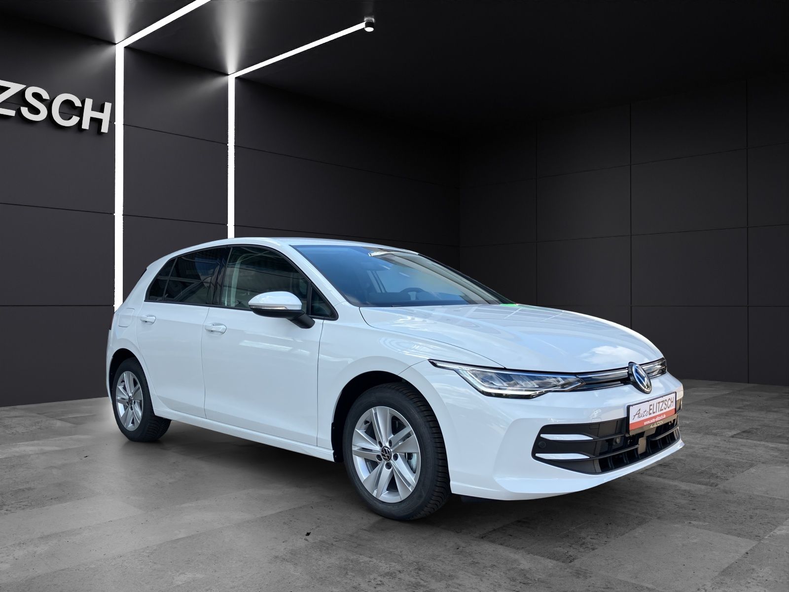 Fahrzeugabbildung Volkswagen Golf VIII TDI Life LED ACC RFK