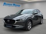 Mazda CX-30 Selection 150 Aut. Navi Leder Bose 360 Kam - graue Mazda CX-30