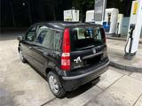 Fiat Pand City Lenkung Perfekt für Rentner Anfänger  - Fiat Panda: Van