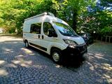 Fiat Ducato Weinsberg Diesel 2 Besitzer  - Angebote entsprechen deinen Suchkriterien