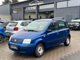 Fiat Panda 1.2 8V Dynamic/Klima/5Tür/ZV/TÜV NEU/2.Ha - Fiat aus 2007