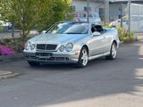 Mercedes-Benz CLK 55 AMG A208 Cabrio Avantgarde SHZ Designo - Mercedes-Benz CLK 55 AMG: Cabrio