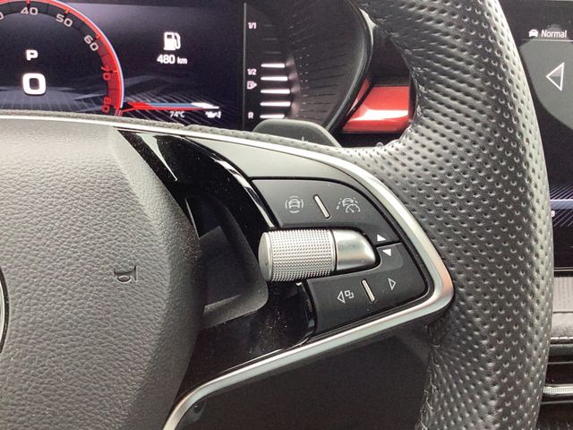 Fabia 1.0TSI DSG Monte Carlo