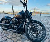 Harley-Davidson Fat Boy FLSTF  Twin Cam 88B Custom  - HARLEY-DAVIDSON TWIN CAM