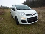 Fiat New Panda 1.2 8V MYSTYLE - Fiat New Panda Benziner Gebrauchtwagen