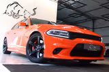Dodge Charger 392 SCAT PACK V8~DEUTSCH+UNFALLFREI+VOLL - Dodge Charger aus 2019