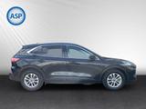 Ford Kuga 2.5 PHEV Titanium AUT NAVI Winter Paket - Ford Kuga mit Hybrid-Antrieb