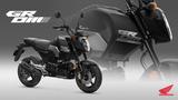 Honda MSX 125 Grom * 6 Jahre Garantie * Schwarz + Weiß - HONDA MSX