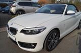 BMW 220 i Navi-LED-Leder-Kamera-Verkehrsz.-WR-Sitzh. - BMW: V